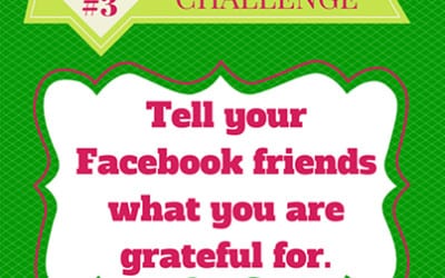 Summer Wellness Challenge #3: Embrace Gratitude