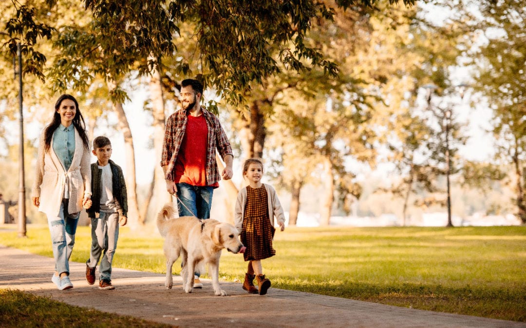 Family Walking Together In Park